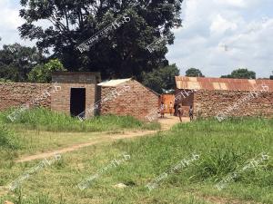 house of Hope 5