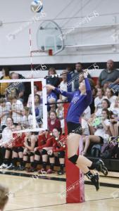 mcc.alyssa.groves