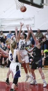 mccgbb.shelby2