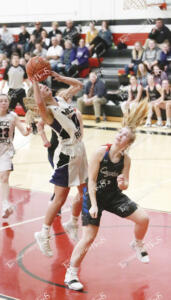 mccgbb.shelby3 (1)