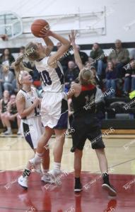 mccgbb.shelby5