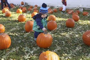 pumpkinfest.01