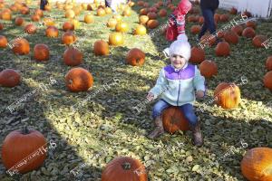 pumpkinfest.03
