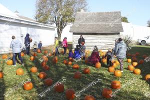 pumpkinfest.11