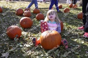 pumpkinfest.13