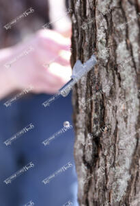 tapping.drip