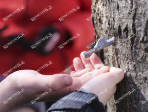 tapping.sap